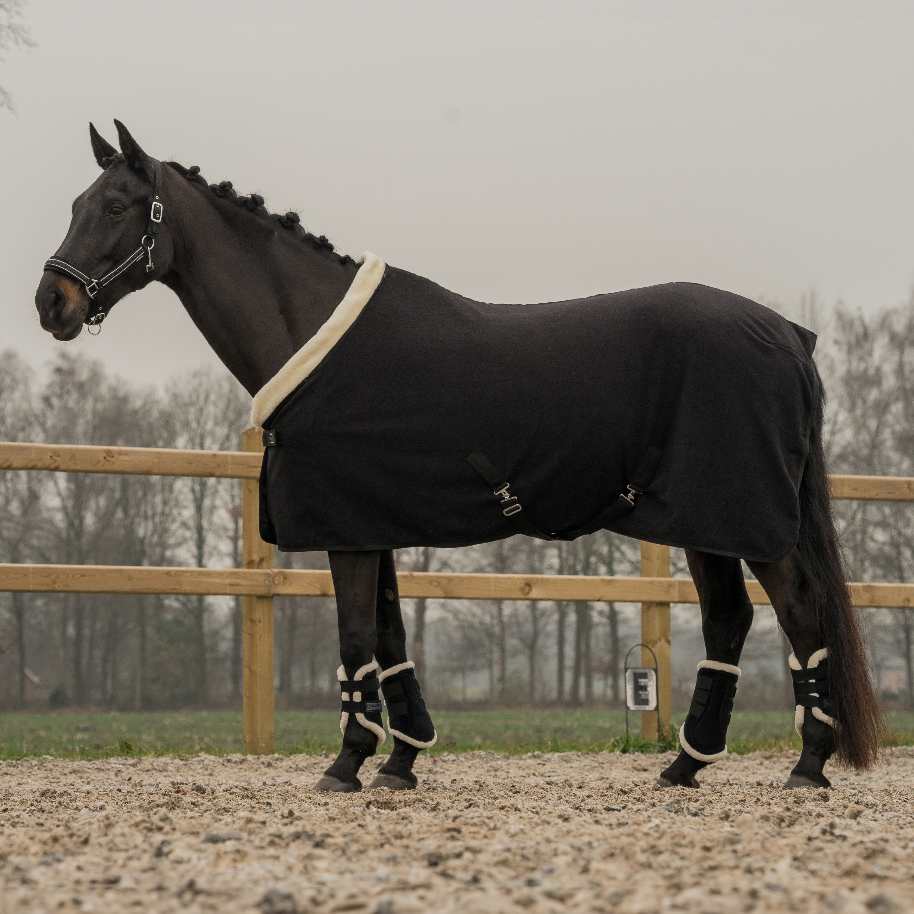 Fleecová odpocovací deka EQPRO