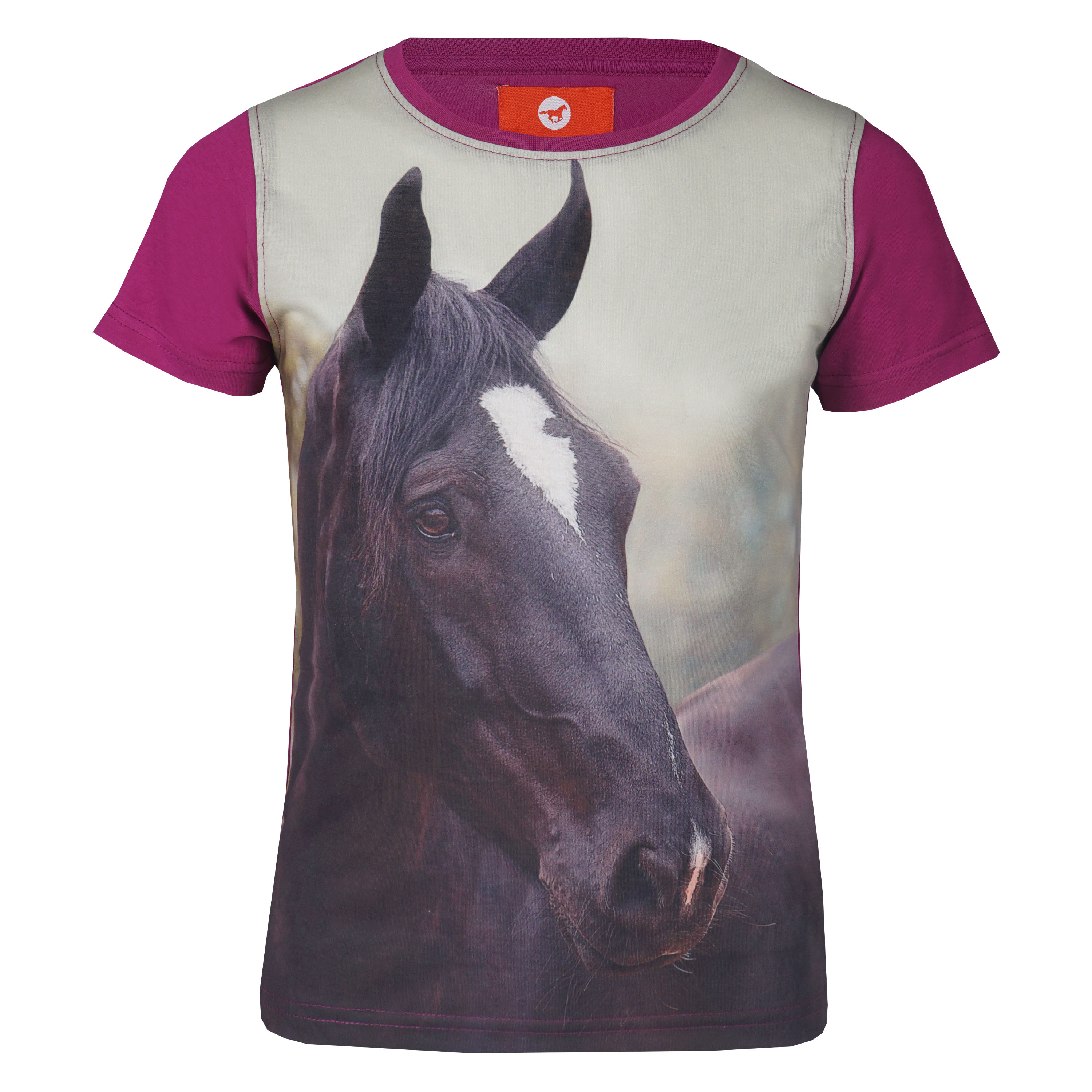 Dětské tričko Red Horse Horsy