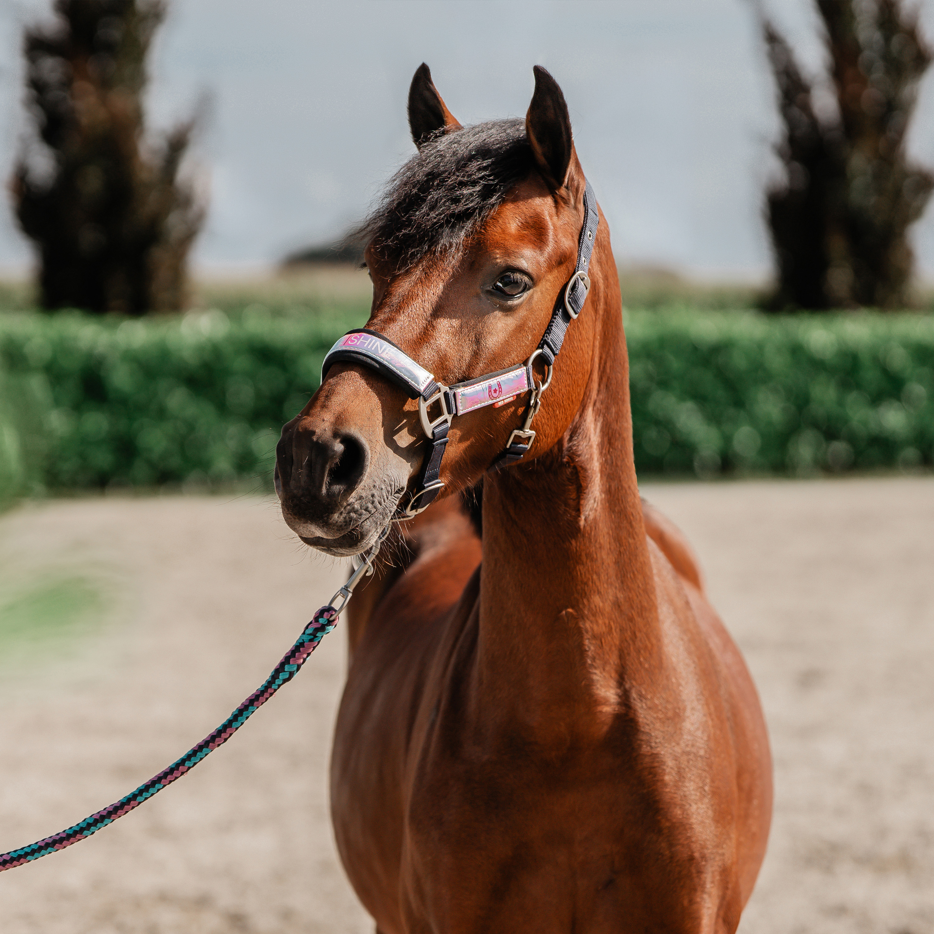 Dětská ohlávka s vodítkem Red Horse Akira